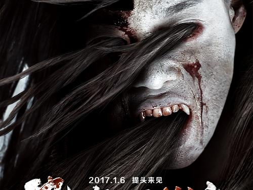 戴维斯分校会计文凭证书